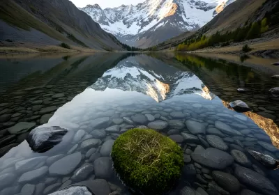 Imagen PNG para descargar